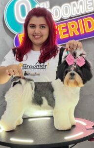 Patinhas Cilíndricas